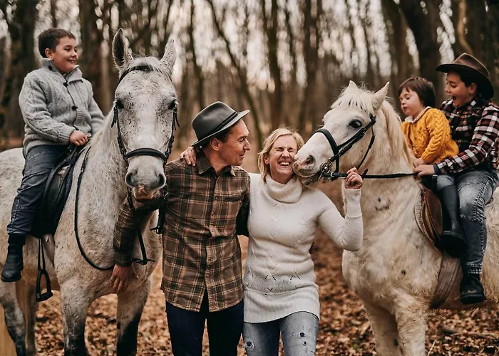 Tmbin\'S Barn - Nature, Horses, Family