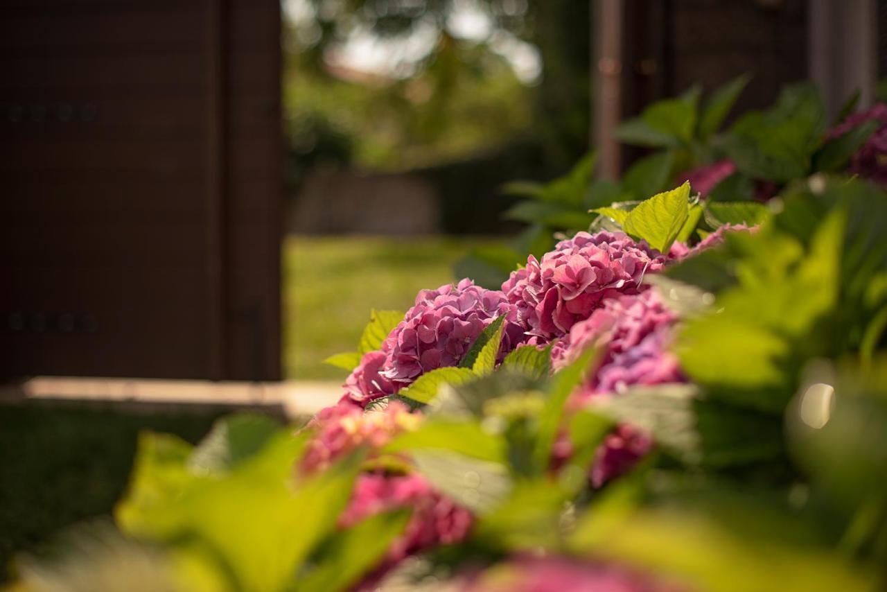 Tmbin's Barn - Nature, Horses, Family Holiday home *