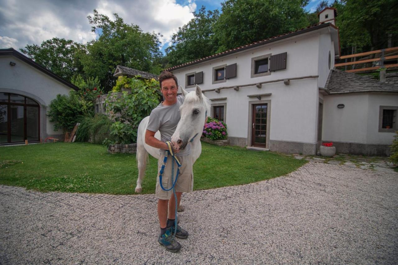 Tmbin's Barn - Nature, Horses, Family Holiday home *