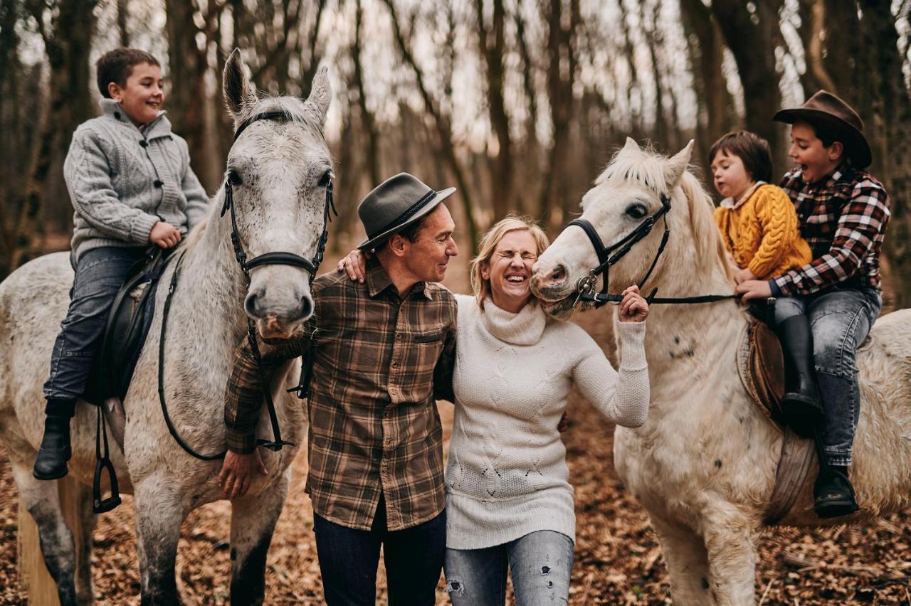 Tmbin's Barn - Nature, Horses, Family Holiday home Sezana