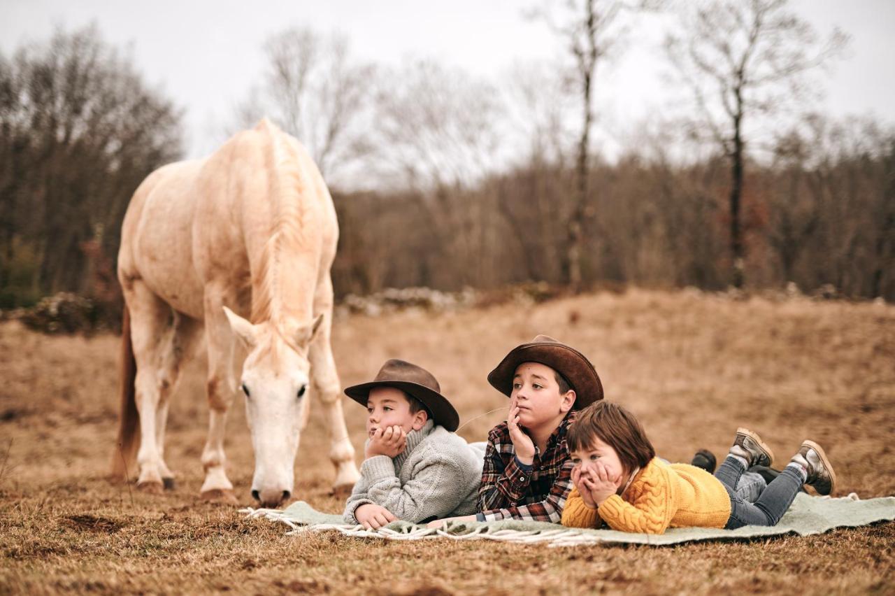 Tmbin's Barn - Nature, Horses, Family Holiday home *