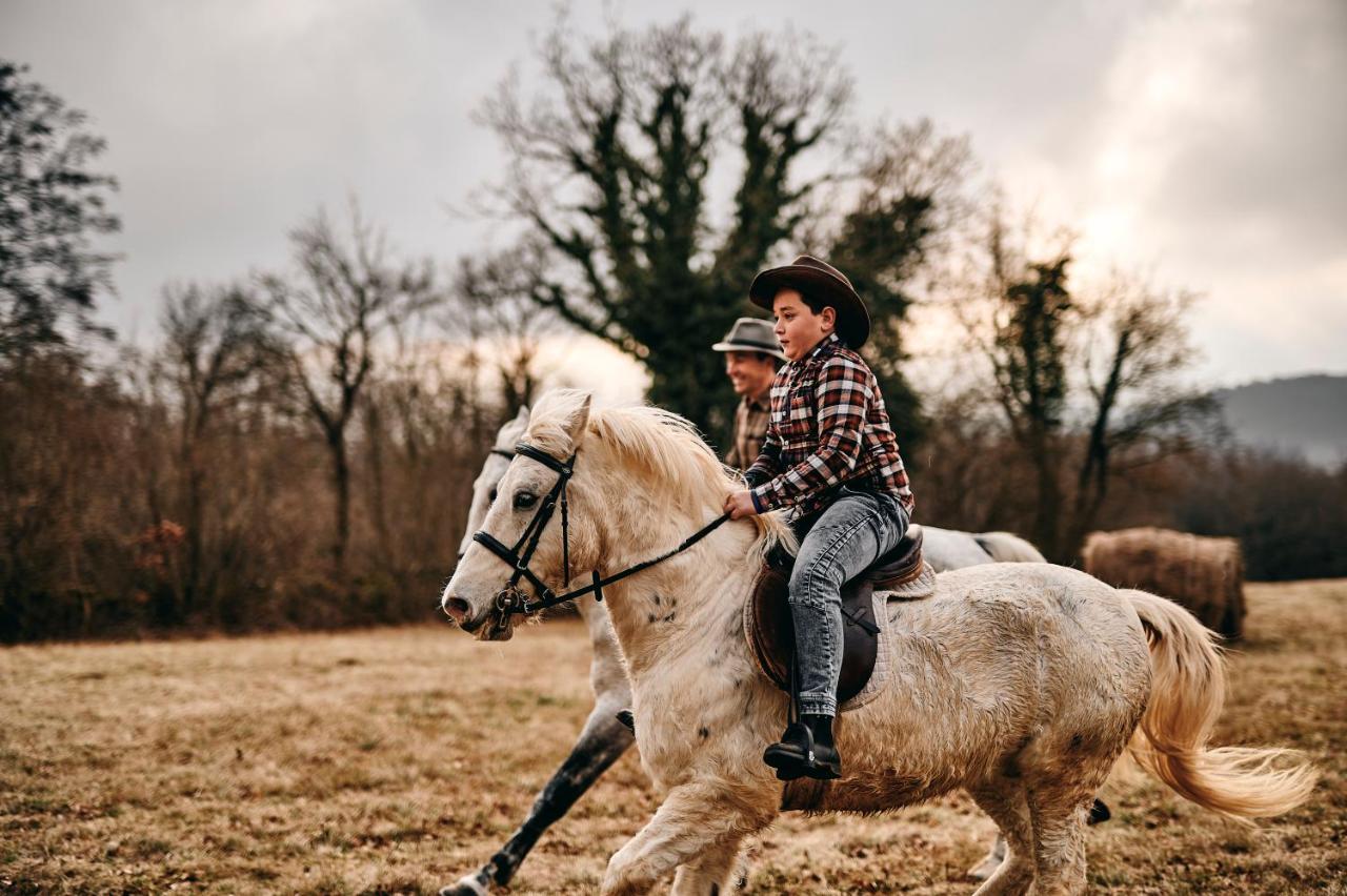 Tmbin's Barn - Nature, Horses, Family Holiday home *