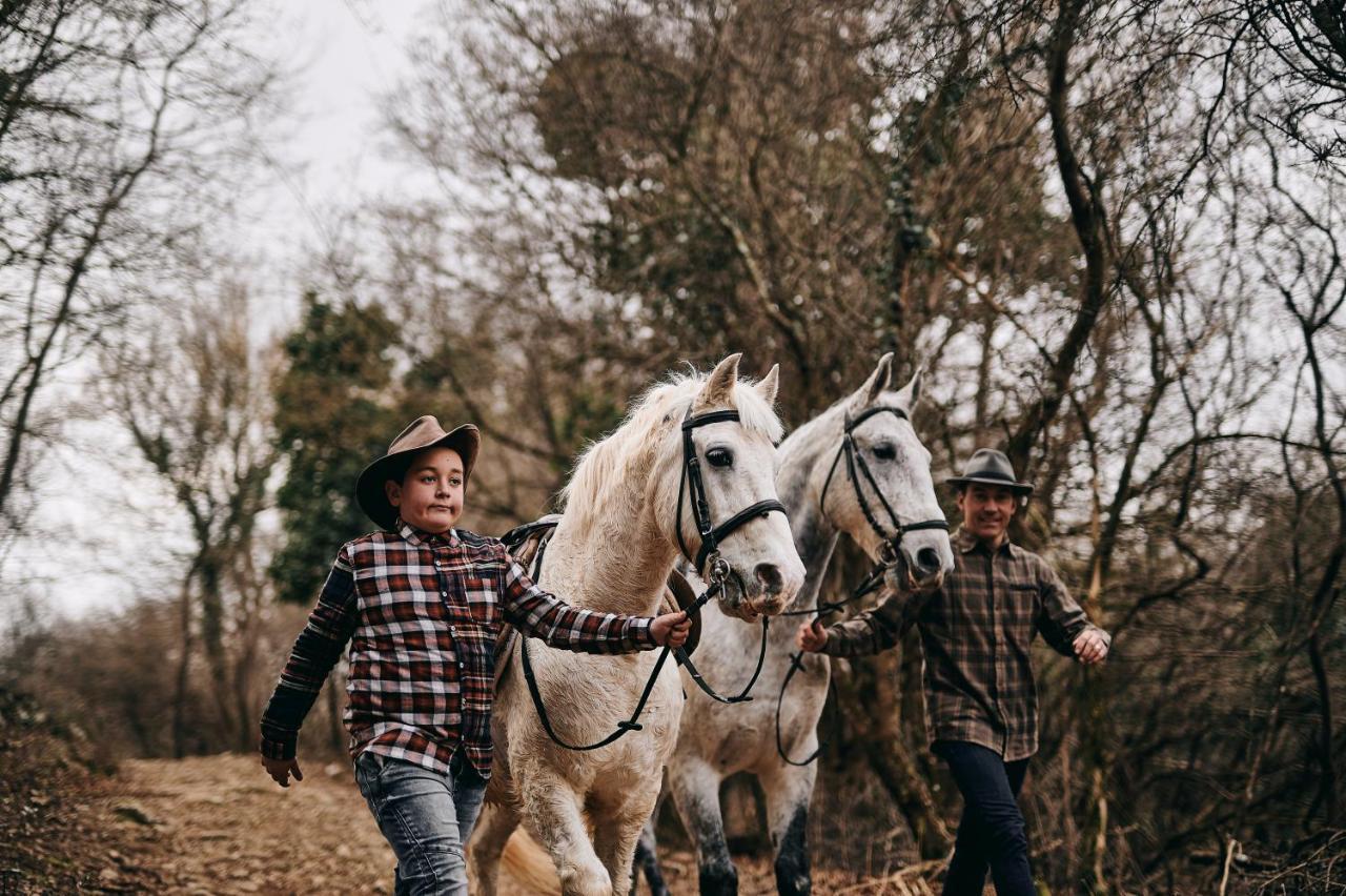 Tmbin's Barn - Nature, Horses, Family Sezana