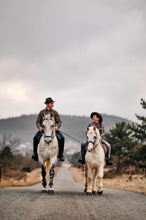 Tmbin's Barn - Nature, Horses, Family Holiday home